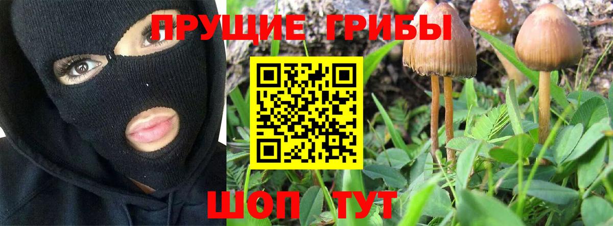 Галлюциногенные грибы прущие грибы Можайск